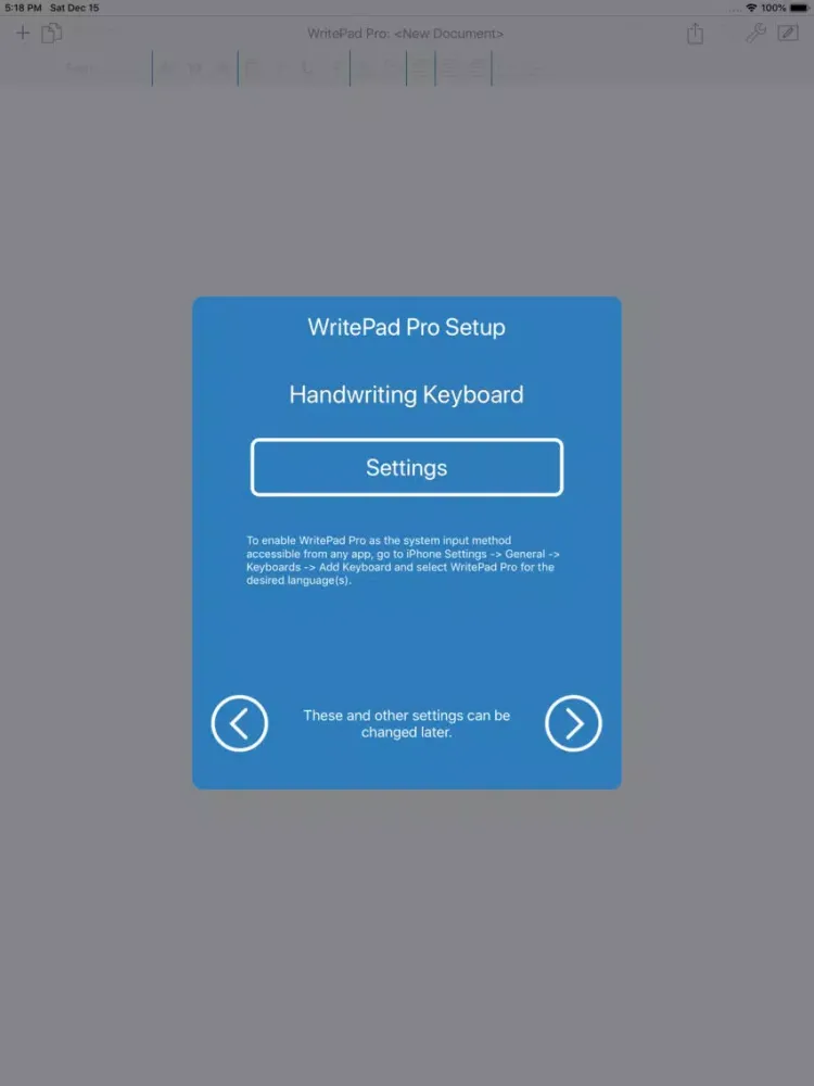 Zrzuty ekranu WritePad Professional iPad 