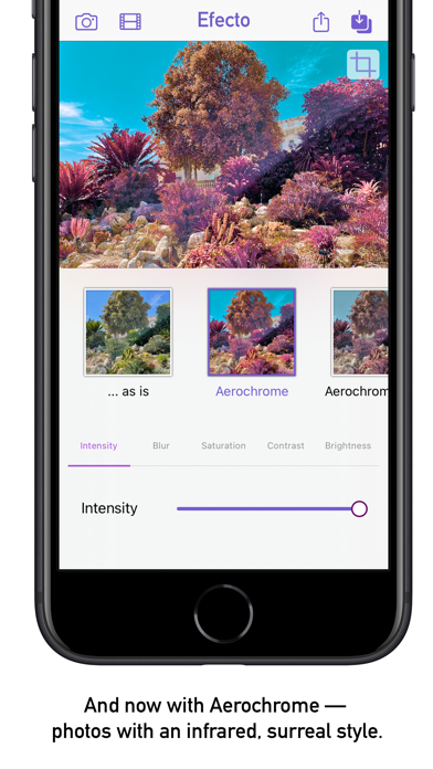 Zrzuty ekranu Efecto — hand-crafted filters