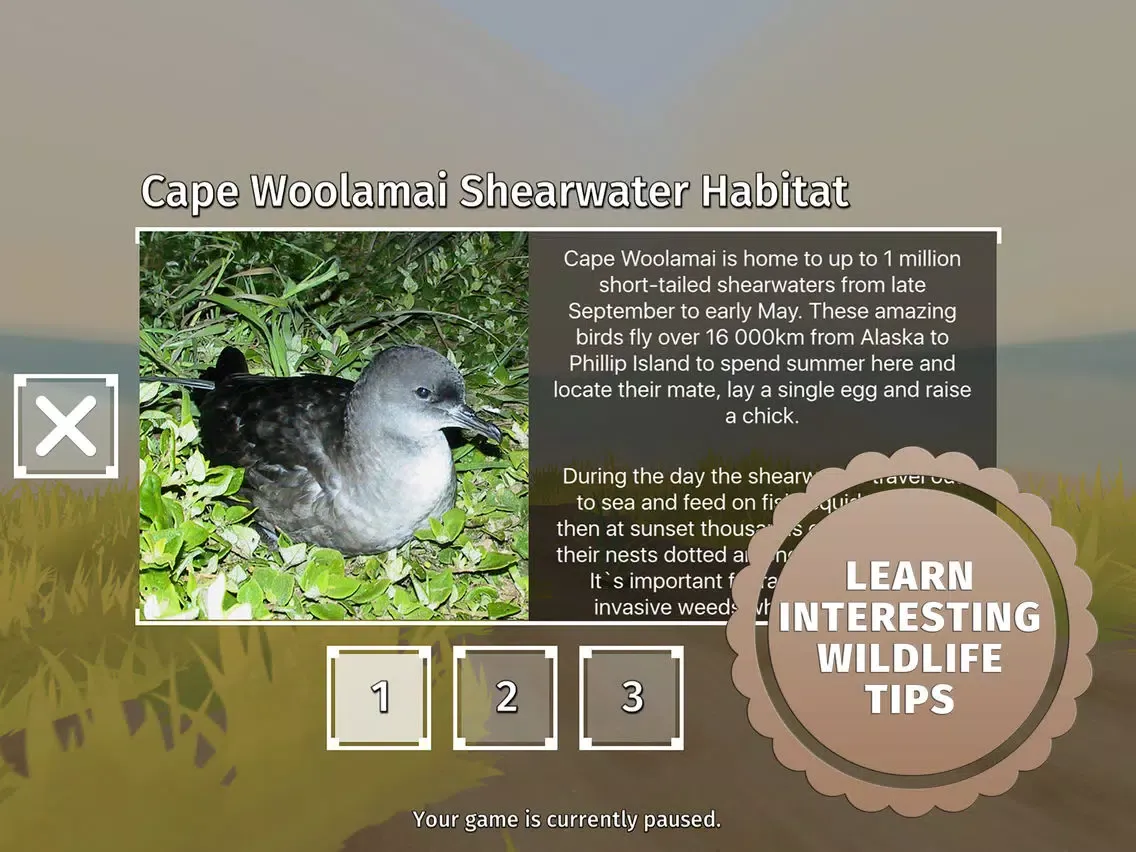 Screenshot di Phillip Island Park Ranger iPad 