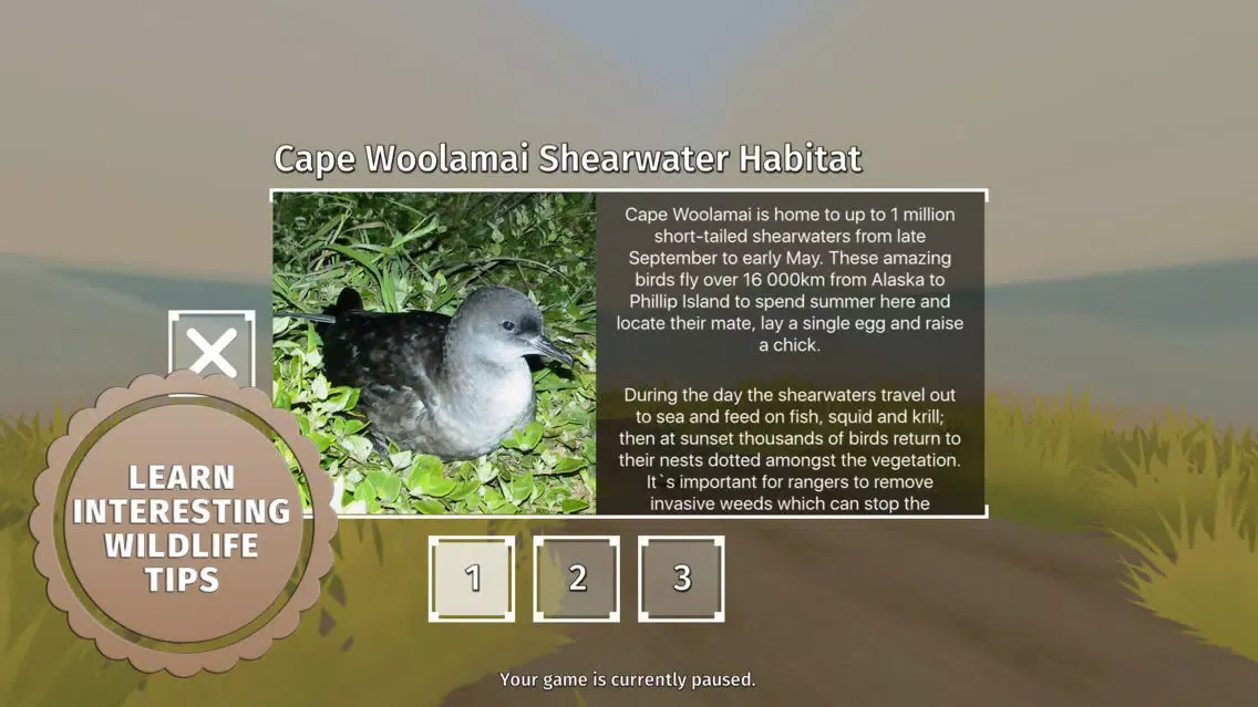 Screenshot di Phillip Island Park Ranger