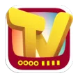 TV Replay