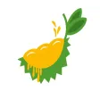 Lava Durian Lava Durian