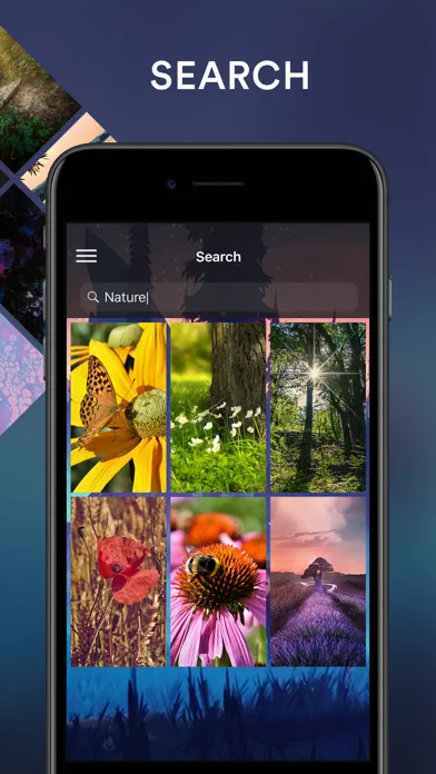 Wallume - Customize Wallpapers应用截图
