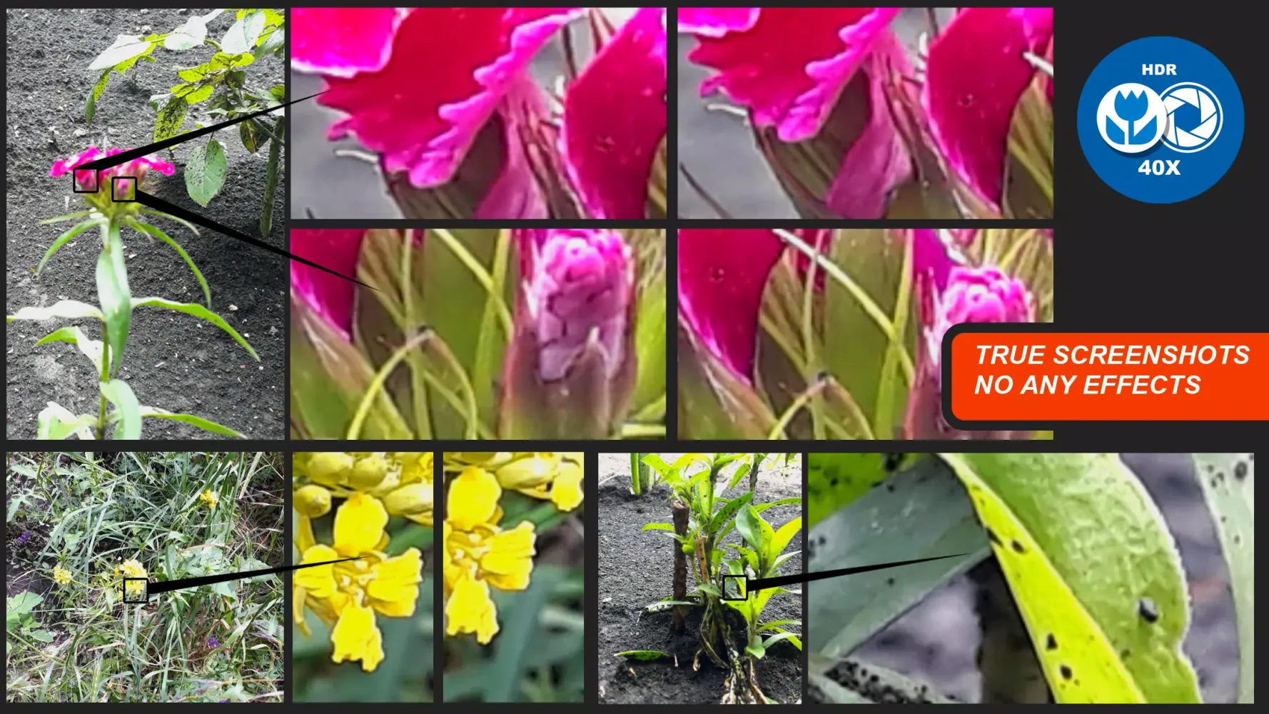 Captures d'écran de Macro Photography Camera Live 40x Zoom