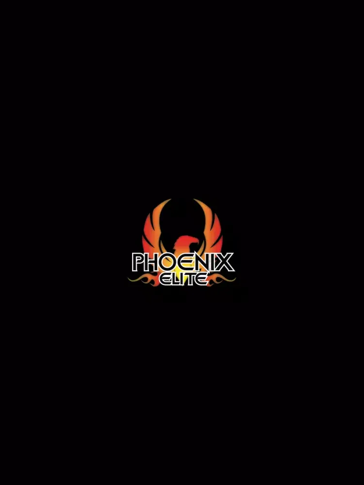 صور Phoenix Elite Cheer iPad 