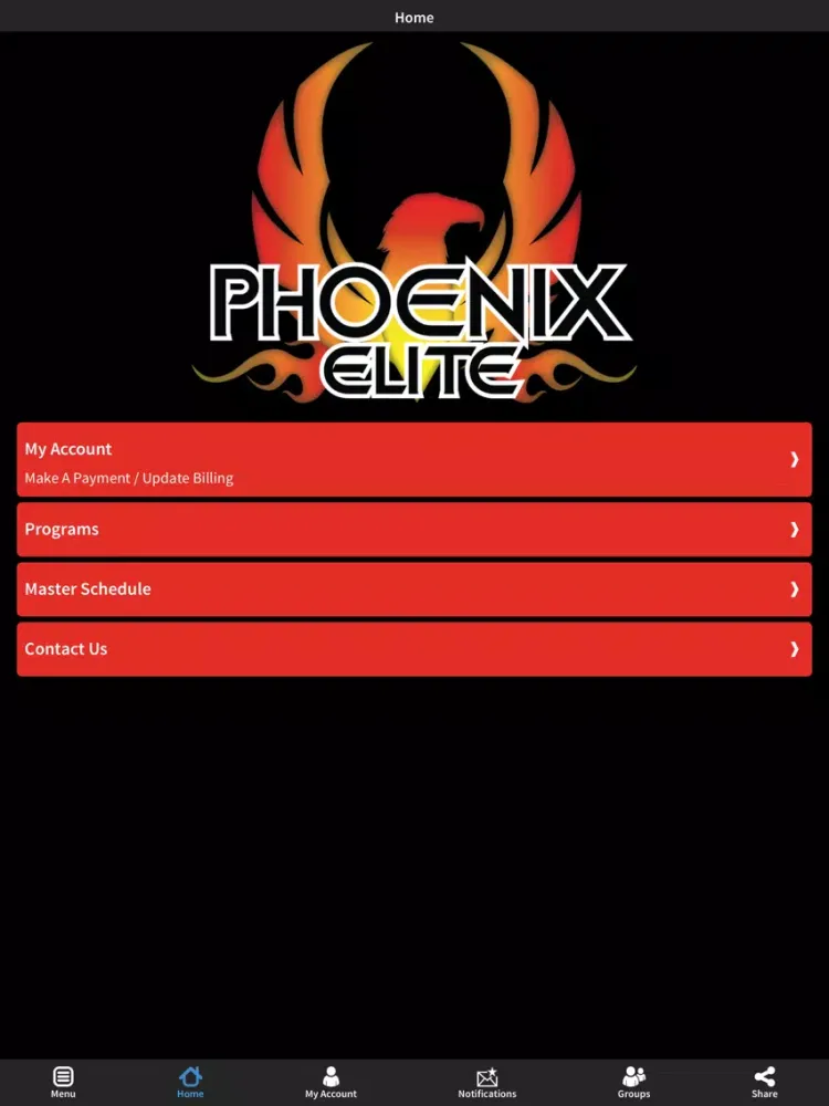 صور Phoenix Elite Cheer iPad 