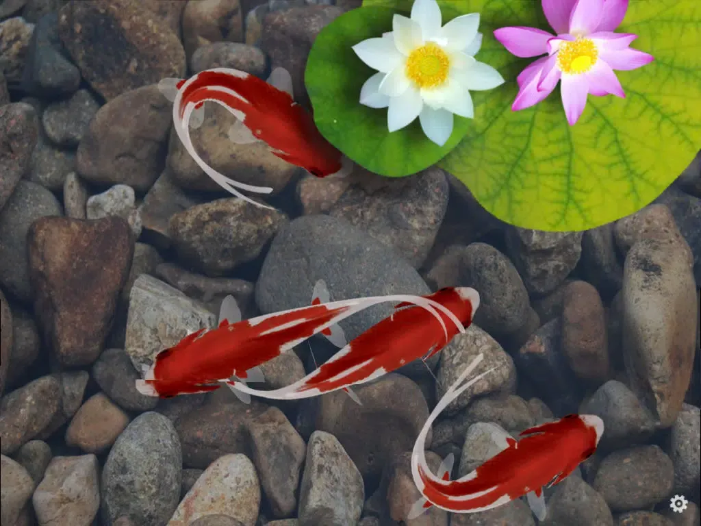 Capturas de tela do Beautiful Fish Screensaver iPad 