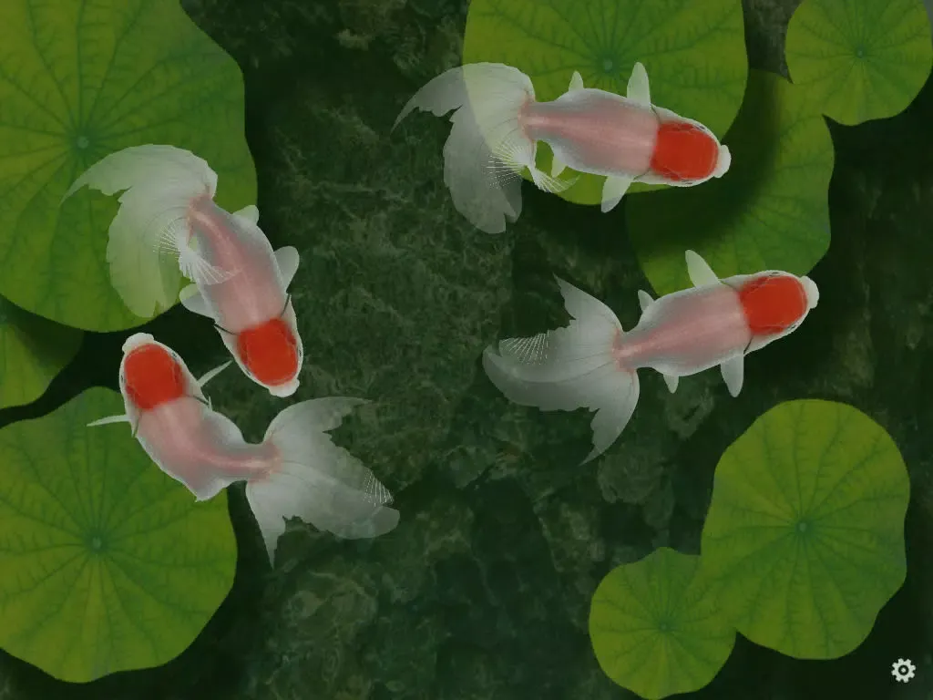 Capturas de tela do Beautiful Fish Screensaver iPad 