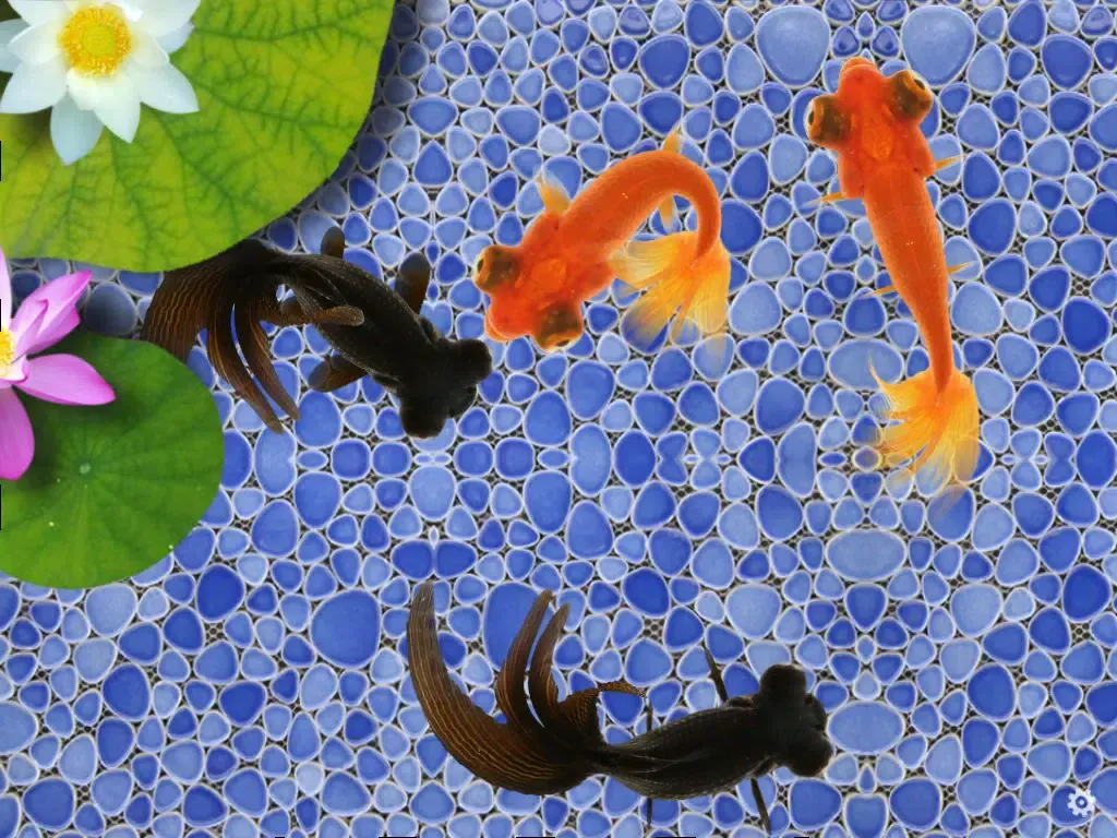 Capturas de tela do Beautiful Fish Screensaver iPad 
