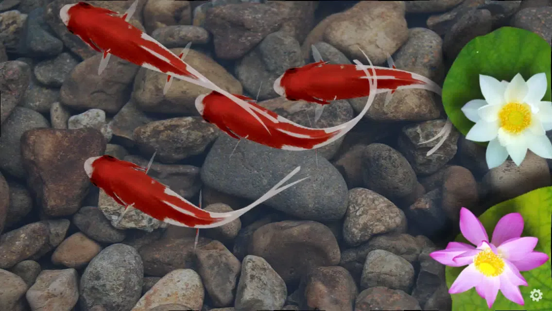 Capturas de tela do Beautiful Fish Screensaver
