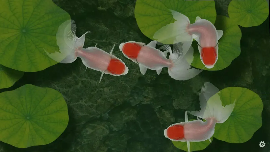 Capturas de tela do Beautiful Fish Screensaver