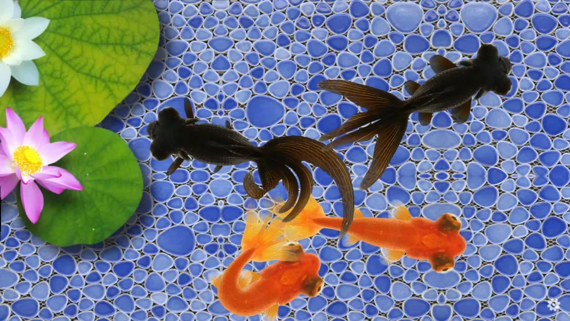 Capturas de tela do Beautiful Fish Screensaver
