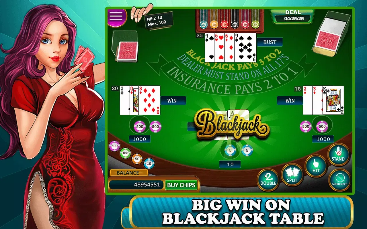 BlackJack স্ক্রিনশট