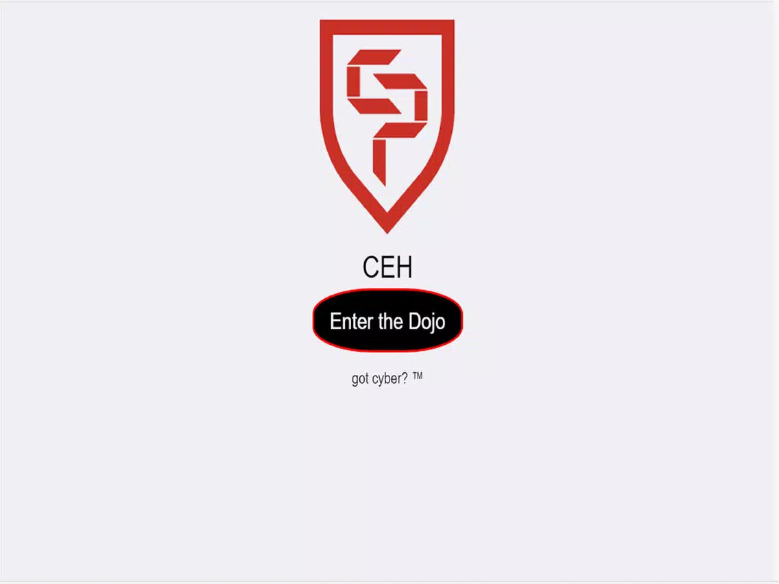 CEH CyberNinja Lite iPad 应用截图