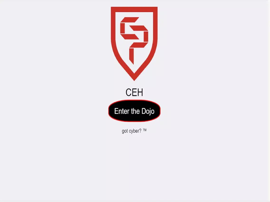 CEH CyberNinja Lite iPad  스크린샷