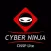 CISSP CyberNinja Lite