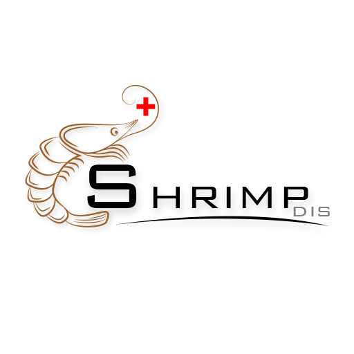 Shrimp-dis