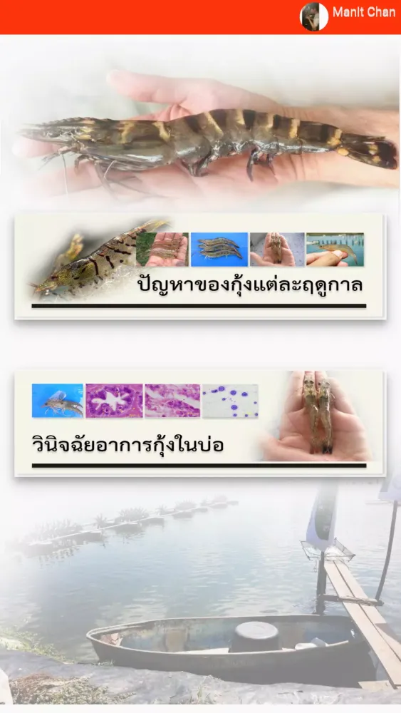 Shrimp-dis應用截圖