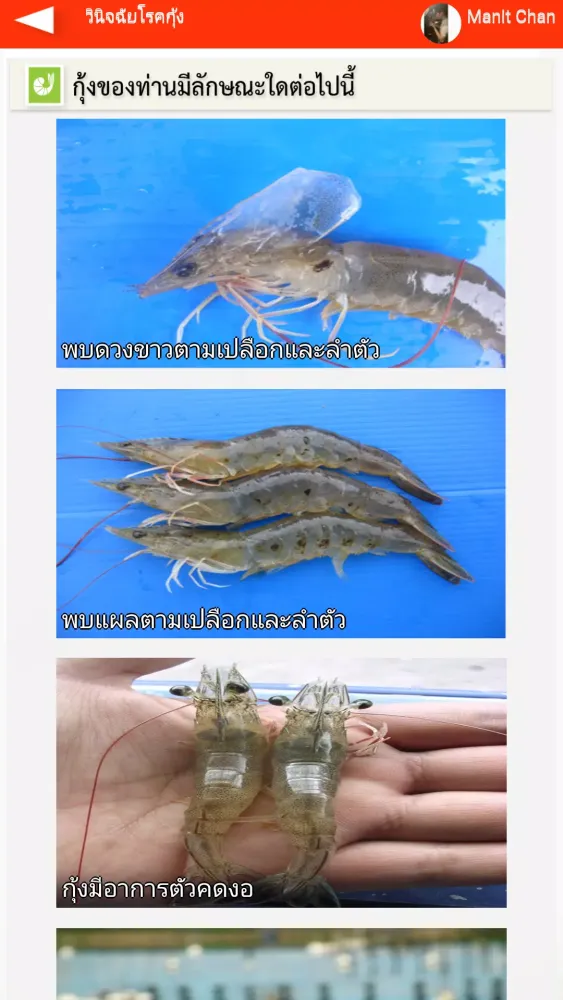 Shrimp-dis應用截圖