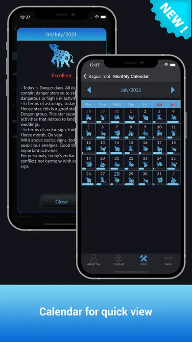Zrzuty ekranu CHoroscopes Chinese Horoscopes