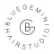 Blue Gemini Hair Studio