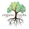 Organic Roots Eco Salon
