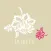 Purity Beauty Clinic