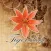 Tiger Lily Beauty Salon