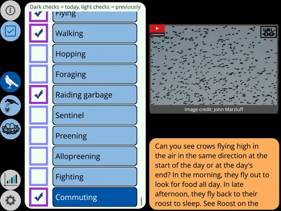 Tangkapan skrin Crow Scientist iPad