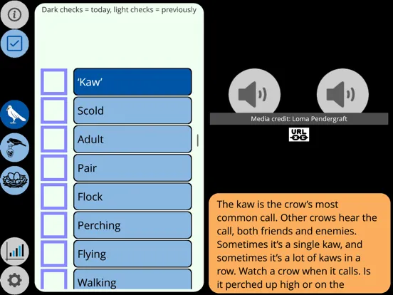 Tangkapan skrin Crow Scientist iPad