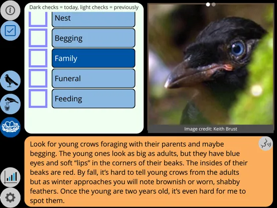 Tangkapan skrin Crow Scientist iPad