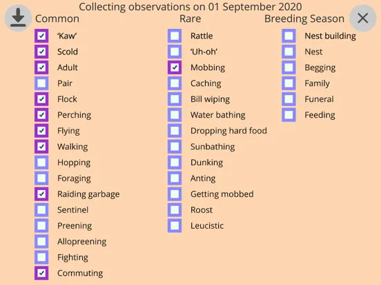 Tangkapan skrin Crow Scientist iPad
