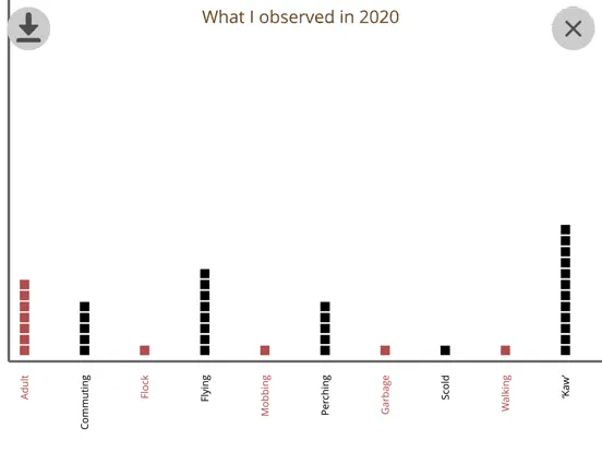 Tangkapan skrin Crow Scientist iPad