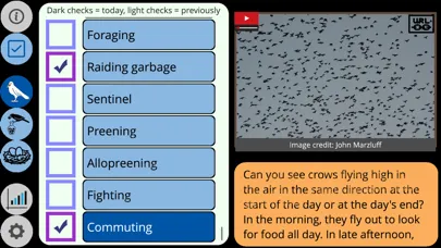 Tangkapan skrin Crow Scientist