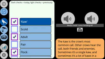 Tangkapan skrin Crow Scientist