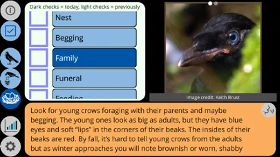 Tangkapan skrin Crow Scientist