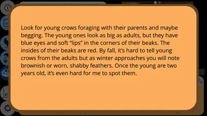 Tangkapan skrin Crow Scientist