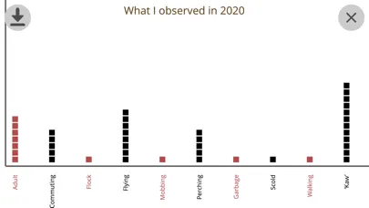 Tangkapan skrin Crow Scientist