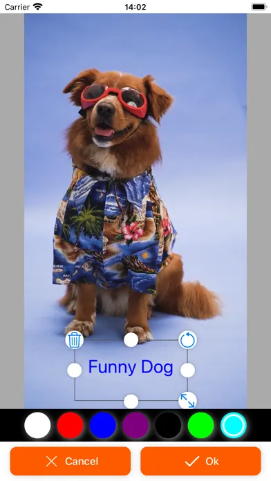 Screenshot di GIF Maker - Animation Photo