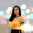 Bokeh Effect Bokeh Effect
