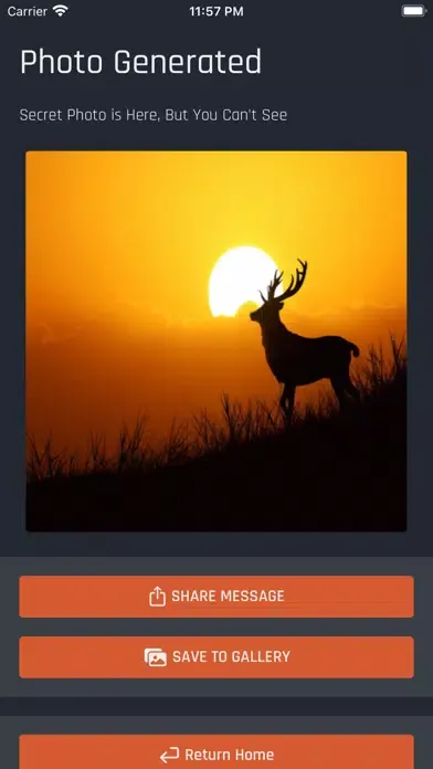 Ảnh chụp màn hình của TikBoost TikTok More Followers