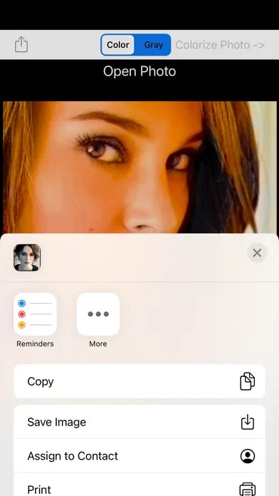 تصاویر Photo Colorizer