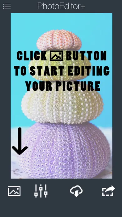 PhotoEditor+ - Make Frames, Stickers & Retro Picture Effects Screenshots