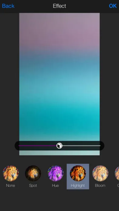 PhotoEditor+ - Make Frames, Stickers & Retro Picture Effects Screenshots