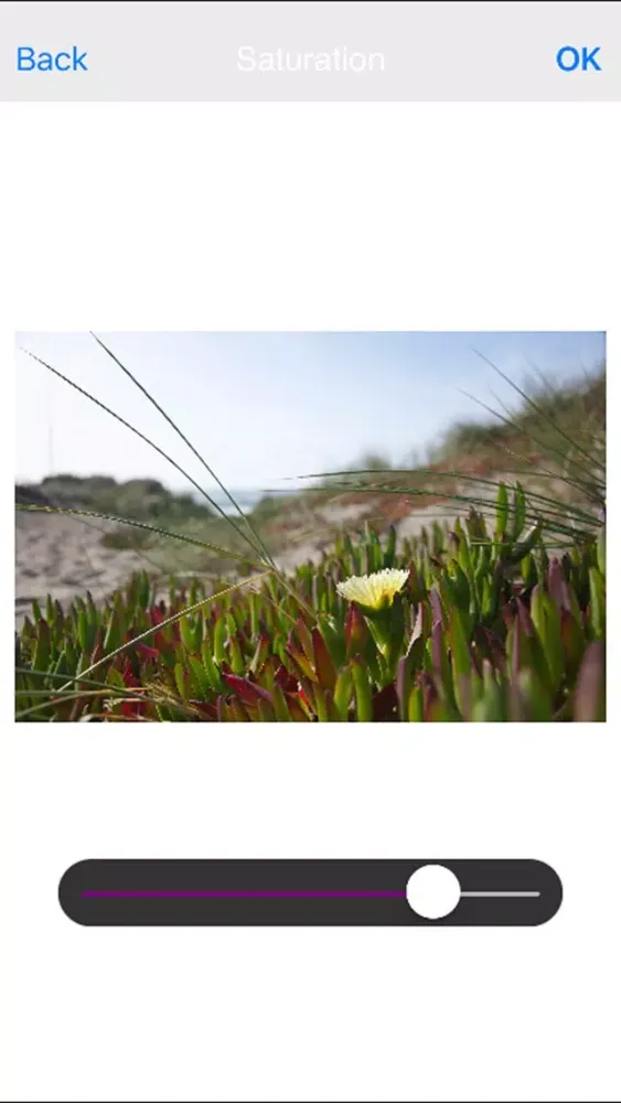 Photo Editor Pro Edition Free Screenshots
