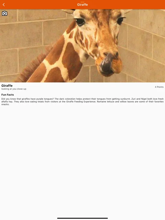 Screenshot di Photo Fun Safari Green Bay Zoo iPad 
