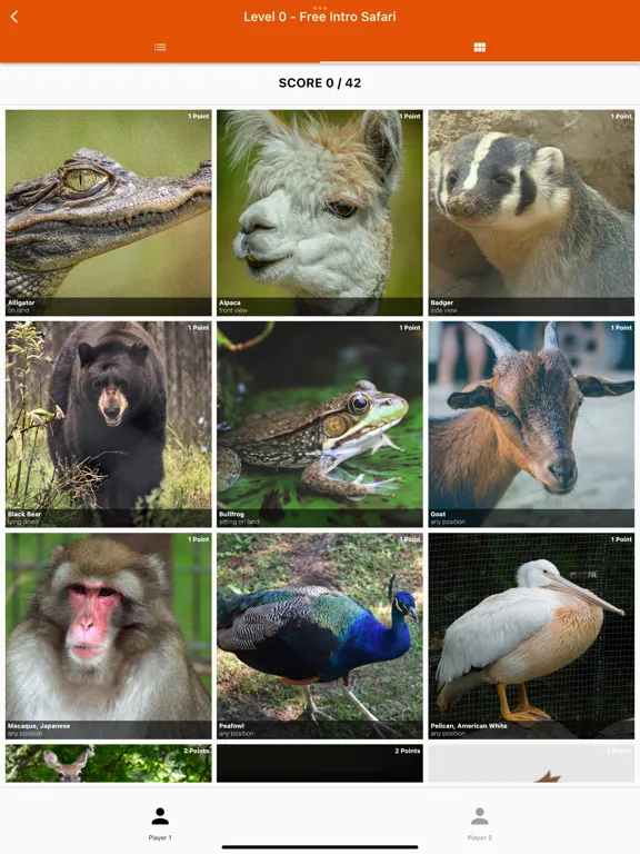 Screenshot di Photo Fun Safari Green Bay Zoo iPad 