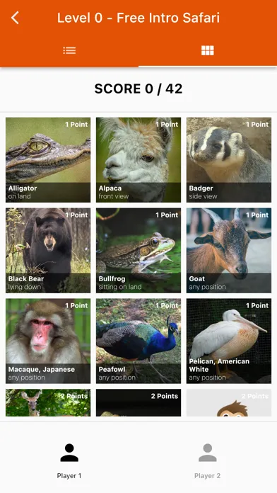 Screenshot di Photo Fun Safari Green Bay Zoo