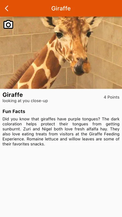 Screenshot di Photo Fun Safari Green Bay Zoo