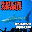 Photo Fun Safaris MS Aquarium